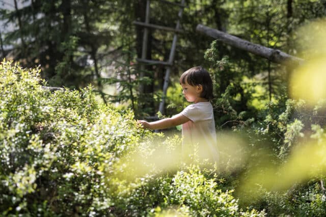 lapsi metsän siimeksessä.